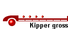 Kipper gross